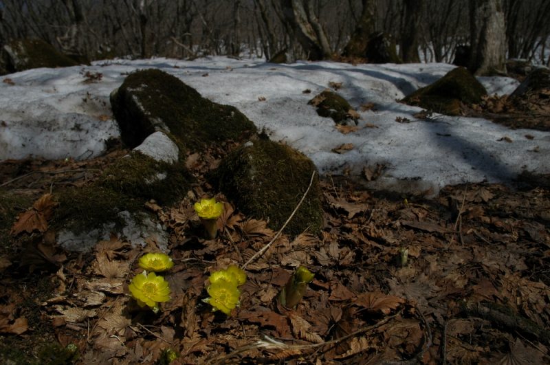 DSC_1529.jpg