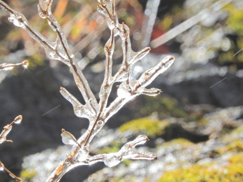DSCN0129.jpg