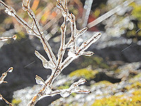 DSCN0129_thumb.jpg