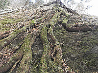 DSCN0357_thumb.jpg