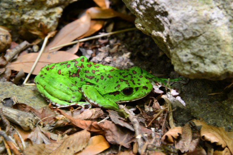 DSC_5579.jpg