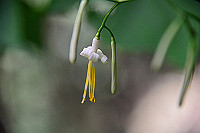 DSC_5599_thumb.jpg
