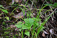 DSC_6160_thumb.jpg