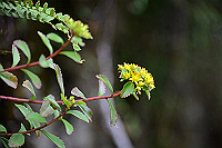 DSC_6169_thumb.jpg