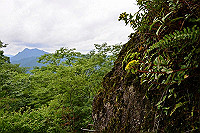 DSC_6179_thumb.jpg