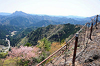 DSC_7755_thumb.jpg