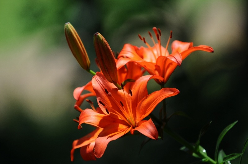 DSC_1836.jpg