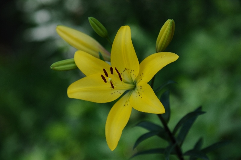DSC_1843.jpg