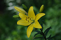 DSC_1843_thumb.jpg