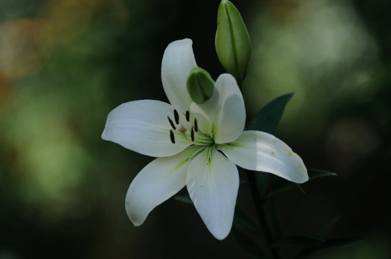 DSC_1846.jpg
