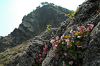 DSC_4898_thumb.jpg
