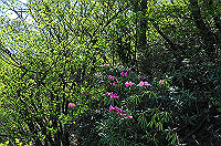 DSC_5401_thumb.jpg