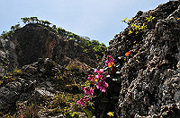 DSC_5464_thumb.jpg