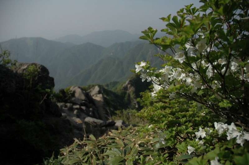 DSC_7610.JPG