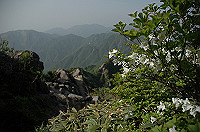 DSC_7610_thumb.jpg