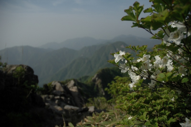 DSC_7611.JPG