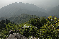 DSC_7620_thumb.jpg