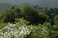 DSC_7621_thumb.jpg