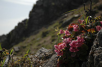 DSC_7673_thumb.jpg
