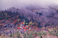 DSC_2430_thumb.jpg
