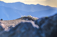 DSC_2451_thumb.jpg
