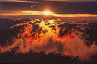 DSC_2458_thumb.jpg