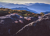 DSC_2585_thumb.jpg