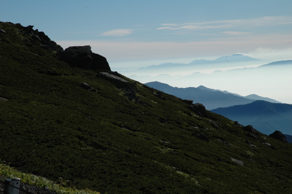 DSC_3834.JPG