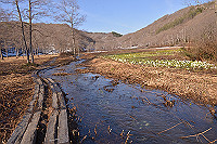 DSC_2710_thumb.jpg