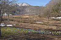 DSC_2799_thumb.jpg