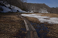 DSC_2812_thumb.jpg