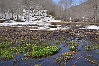 DSC_2817_thumb.jpg