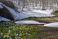 DSC_2829_thumb.jpg