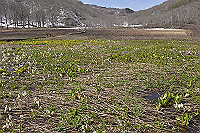 DSC_2865_thumb.jpg