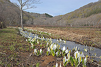 DSC_8582_thumb.jpg