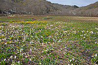 DSC_8604_thumb.jpg