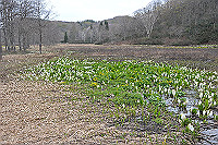 DSC_8625_thumb.jpg