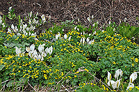DSC_8631_thumb.jpg