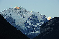 DSC_8788_thumb.jpg