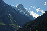 DSC_8907_thumb.jpg