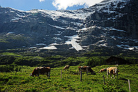 DSC_8923_thumb.jpg