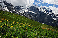 DSC_9019_thumb.jpg