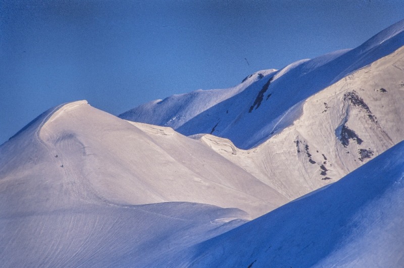 DSC_2407.jpg