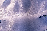 DSC_2409_thumb.jpg