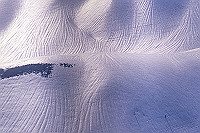 DSC_2417_thumb.jpg