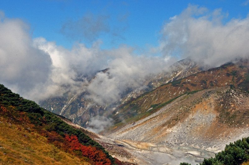 DSC_8362.jpg