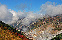 DSC_8362_thumb.jpg