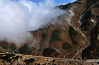 DSC_8370_thumb.jpg