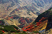 DSC_8387_thumb.jpg