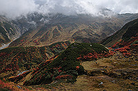 DSC_8456_thumb.jpg